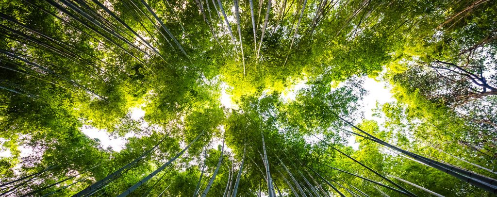 Environmental Policy - AMCM Leather Company